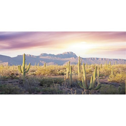 AWERT Reptile Habitat Background Blue Sky Oasis Mountain Cactus Sun and Desert Terrarium Background 36x24 inches - size: 36x24in/90x60cm