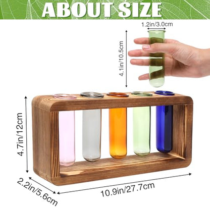 Glass Plant Propagation Station with 5 Test Tubes Colorful Planter Vase Birthday Gifts for Women in Wooden Stand - color: Color-01