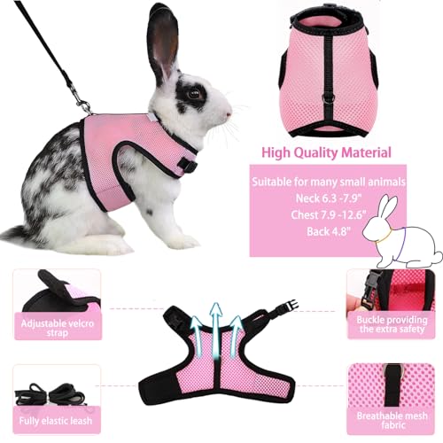 Small Pet Carrier Backpack Rabbit Carrier with Harness Vest Stretchy Elastic Leash Large Breathable Pet Carrier Airline Approved for Bunny Guinea Pig Ferret Hedgehog Kitten Travel Walking - color: Rabbit Carrier Backpack