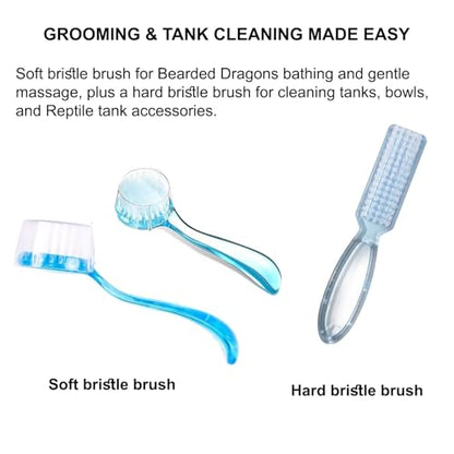 Bearded Dragon Tank Accessories Kit – 10pcs Reptile Water Food Bowl, Feeding Tongs with Rubber Tip, Grooming & Cleaning Set for Lizards, Geckos & Small Reptiles