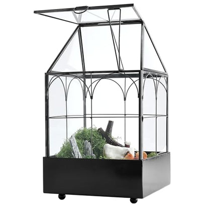 HighFree Glass Terrarium with Metal Tray, Glass Greenhouse Terrarium Kit for Succulents, Cacti, Snails, Spiders, and Miniature Reptiles, Black (Small-5.9" L x 5.9" W x 10.2" H) - size: Small-5.9"L x 5.9"W x 10.2"H
