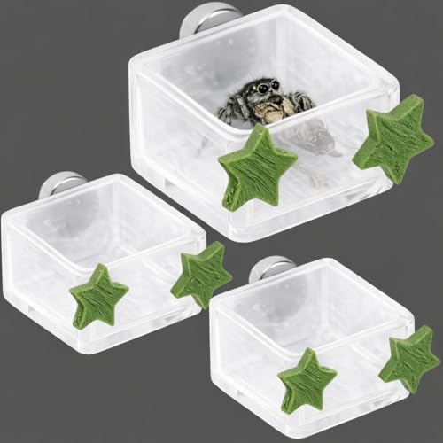 3 Pcs Magnetic Jumping Spider Feeding Dish Jumping Spider Enclosure Accessories Star-Shaped Design Reptile Water Bowl for Other Small Reptiles or Insects (Transparent + Army Green) - color: Transparent + Army Green