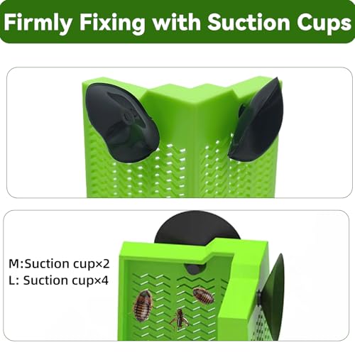 Chameleon Feeder Bearded Dragon Box Reptile Feeder with Suction Cup, Wall Mounted Insect Feeder Escape-Proof Corner for Lizard, Iguana, Gecko, Frog (Medium)