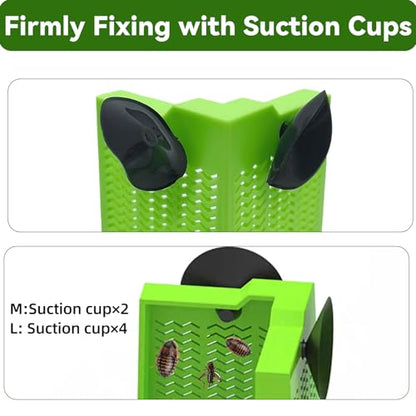 Chameleon Feeder Bearded Dragon Box Reptile Feeder with Suction Cup, Wall Mounted Insect Feeder Escape-Proof Corner for Lizard, Iguana, Gecko, Frog (Medium)