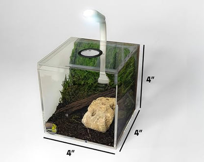 4″ Ventilated Acrylic Vivarium Terrarium Enclosure Clear Cubic Bug Habitat for Spiders, Isopods, Insects, Reptiles (Black Vent) - color: Black