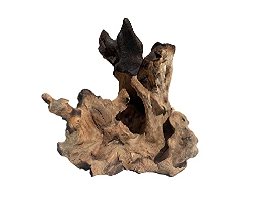 OMA Natural Driftwood Teak Wood Branch for Terrariums, Air Plants, Succulents, Reptile Decor - Branch Only