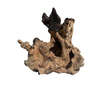 OMA Natural Driftwood Teak Wood Branch for Terrariums, Air Plants, Succulents, Reptile Decor - Branch Only