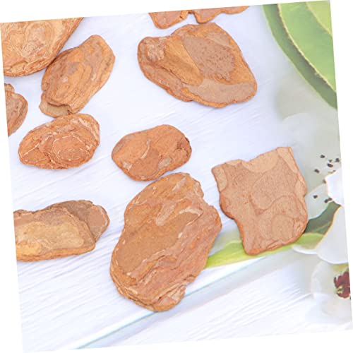 ORFOFE 1pack Natural Pine Bark Pad for Reptile Box Cushioning for Lizards Snails and Chameleons to Rest Climb Terrarium Decor