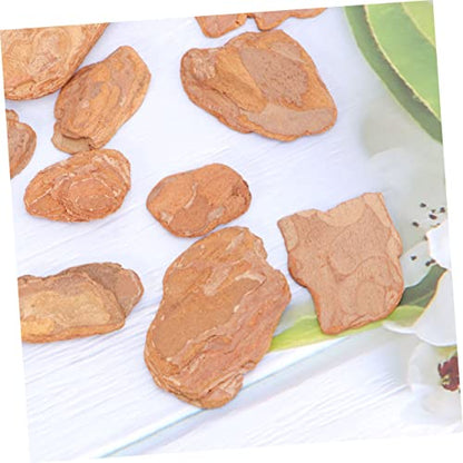 ORFOFE 1pack Natural Pine Bark Pad for Reptile Box Cushioning for Lizards Snails and Chameleons to Rest Climb Terrarium Decor