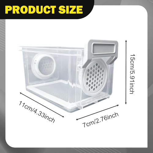 Breeding Box, Reptile Feeding Box, Transparent Terrarium, Habitat, Animal Holder for Raising Mealworms, Style B - color: style B