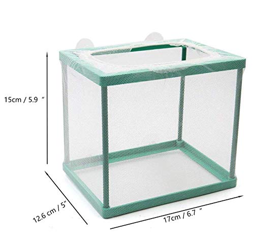 COMOK Fish Hatchery Breeder Box Aquarium Separation Net Nylon Incubator Mesh Fish Breeding Tanks Isolation Box Green Square - color: Green Square