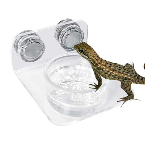 Gecko Feeder - Gecko Feeding Ledge Suction Cup, Reptile Food Feeder Bowl, Suction Cup Food Tray Lizard | Acrylic, Magnet, Bowls, Reptile Feeding Ledge for Lizards, Chameleons, Tree Frogs, - color: A