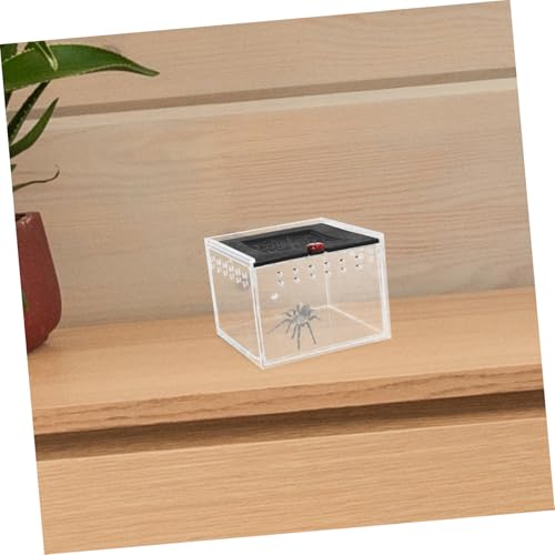 Small Animal Breeding Box Acrylic Reptile Case Waterfall for Lizards Spiders Easy Viewing Design