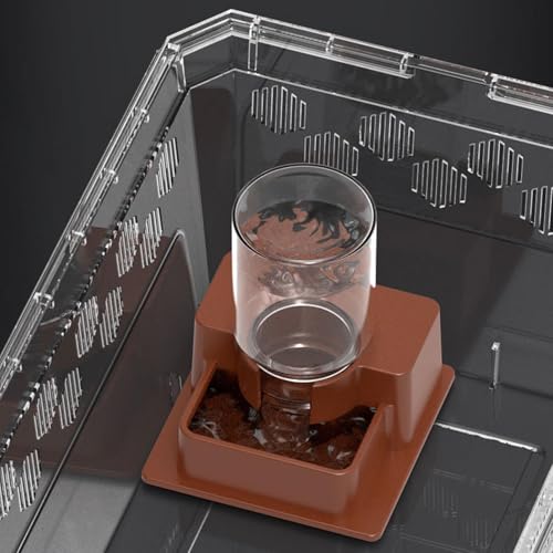 Automatic Waterer for Gecko - Leak-Proof Reptile Feeder, Reservoir | Hydration Tool for Snake Lizard Bearded Dragon Home Garden Yard Backyard Tank Terrarium - color: M