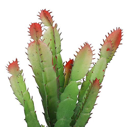 Artificial Cactus Plant - Plastic Cactus Decorations for Home, Terrarium, and Reptile Habitats - Simulation Plastic Aquatic Plants for Flower Arrangements