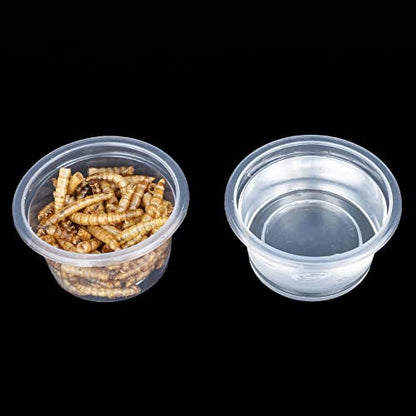 100pcs 1oz Crested Gecko Food and Water Feeding Cups, Reptile Feeder Bowls, for Lizard and Other Small Pet Ledge Accessories Supplies - color: 1oz 100