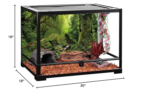 AWERT Tropical Forest Terrarium Background Stream Green Huge Tree Reptile Habitat Background Foggy Rainforest Aquarium Background 30x18 inches Polyester Background - size: 30 x 18 inches