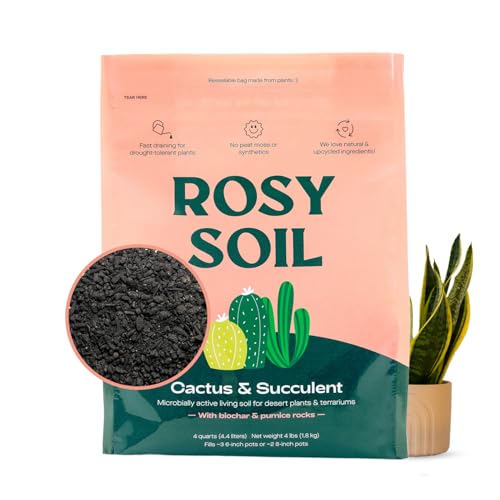Rosy Soil Cactus & Succulent Potting Mix, 4 Quarts | Organic Succulent Potting Soil, Chunky Fast Draining, Peat-Free, Root Boosting Mix, for AloeVera, Cacti, Indoor Succulents - color: Cactus & Succulent, size: 4 Quarts