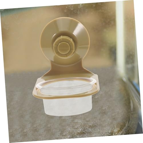BESPORTBLE Tortoise Food Bowl Turtle Feeder Plate for Terrarium Reptile Dish Suction Cup for Geckos Chameleons