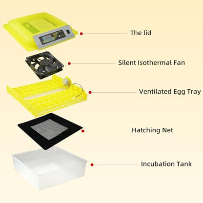 Egg Incubator for Hatching Eggs, 56 Egg Capacity with Automatic Egg Turner | Digital Humidity Control, Clear Temperature Display, Externa, 360° Clear Viewing for Poultry, Ducks, Quail