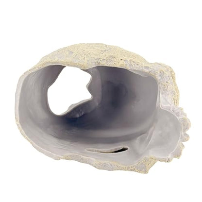 CTWPets Aquarium Human Skull Decor for Betta Fish, Sinking Hide Shrimp Hide