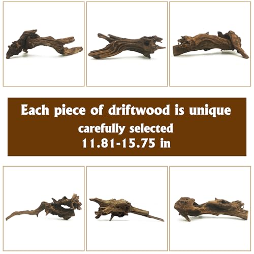 Hamiledyi Reptile Plants Bendable Jungle Climbing Vine Terrarium Branch and Large Driftwood for Reptile Tank 11-16" Natural Bearded Dragon Wood for Ball Python Gecko Lizard Chameleon Iguana