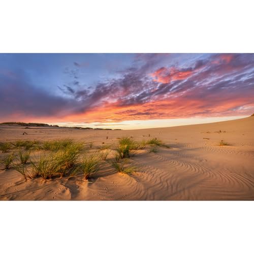 Sunset Desert Reptile Tank Background Majestic Desert Landscape Terrarium Background Desert Sand Dunes Reptile Habitat Background Sunrise Gobi Barren Thorns Aquarium Fish Tank Background 72x18in - size: 72(W)x18(H)inches/ 180(W)*45cm(H)