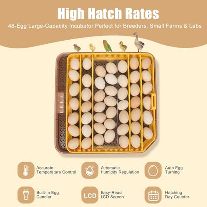 Nest IV - 48 Egg Incubator for Breeders, Fully Automated, Accurate Humidity & Temp Control, Chick Separator, Flexible Egg Spacing, Custom Incubation Days, Auto Turning & Auto Stop, Easy Monitoring - size: 48 Egg [Brown]