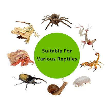 Small Reptile Terrarium, Escape Proof Enclosure 12.6×8.7×3.9 in | Clear Viewing Habitat for Hermit Crabs Isopods and Beetles, Tarantula Gecko Praying Mantis Feeding Box, Breeding Habitat