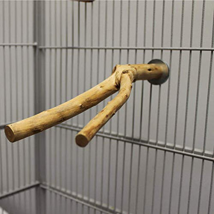 Natural Branch (Forked) - Durable Multi-Branch Perch Stand Cage Accessory - Sugar Gliders, Squirrels, Prairie Dogs, Degus, Marmosets, Monkeys, Parrots, Birds, Rats, Reptiles, Amphibians & Small Pets