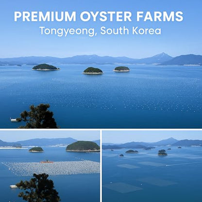 | Oyster Shell Flour 1lb – Finely Ground Calcium Material for Chickens, Ducks, Birds, Reptiles, Amphibians, and More – Crushed Oyster Shell Alternative | 굴껍질가루 (1lb)