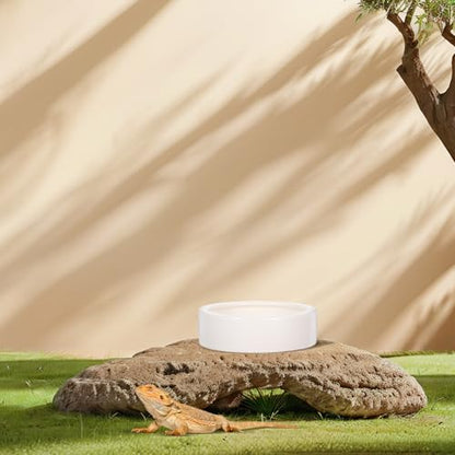 SECFOU Reptile Feeding Bowls Anti-Escape Design 2 Pcs Ceramic Space-Saving Round Bowls for Lizards and Small Reptile Animals for Terrarium Use