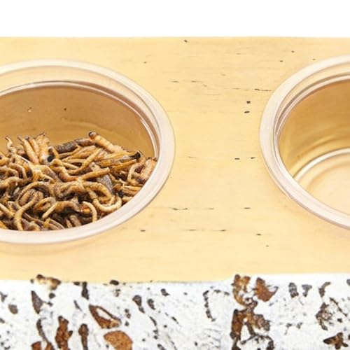 Crested Gecko Feeding Ledge - Magnetic Food Dish with 10 Feeding Cups, Stable Gecko Ledge, Lizard Water Feeder | for Pets Crabs Turtle Spider Bearded Dragon Frogs Centipede Small Animal Habitat