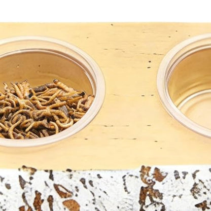 Crested Gecko Feeding Ledge - Magnetic Food Dish with 10 Feeding Cups, Stable Gecko Ledge, Lizard Water Feeder | for Pets Crabs Turtle Spider Bearded Dragon Frogs Centipede Small Animal Habitat