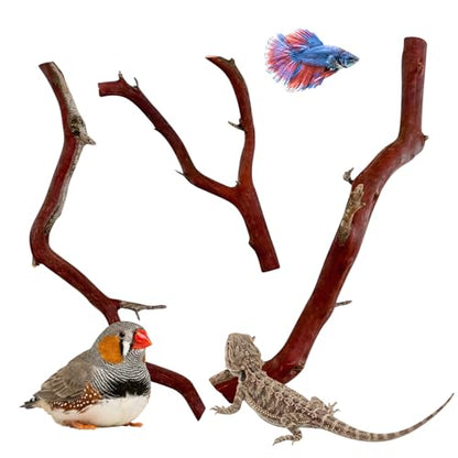 Manzanita Driftwood (Bundle) for Small Aquariums & Reptile Tanks (8-10”") 5–10 gallon tank | Natural Aquascaping & Terrarium Decor | Hardwood Branches, Unique Shapes | Betta Fish, Shrimp, Gecko, Frogs - size: Bundle SM