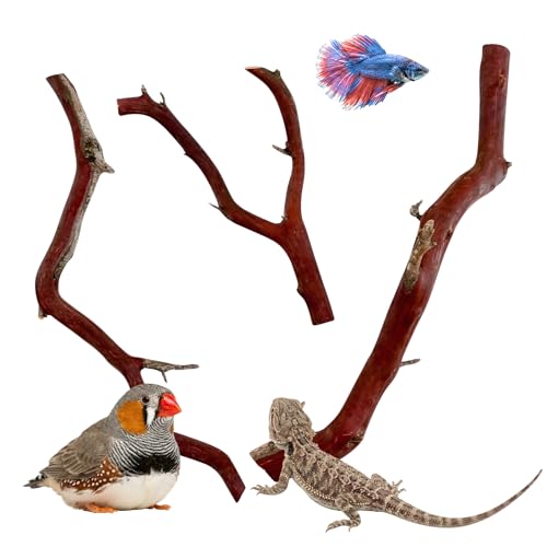 Manzanita Driftwood (Bundle) for Small Aquariums & Reptile Tanks (8-10”") 5–10 gallon tank | Natural Aquascaping & Terrarium Decor | Hardwood Branches, Unique Shapes | Betta Fish, Shrimp, Gecko, Frogs - size: Bundle SM