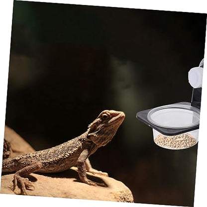 BESPORTBLE 1set Wall-Mounted Reptile Water Bowl Suction Cup Feeding Dish for Lizards Geckos and Frogs Space-Saving Design Easy to Clean Capacity