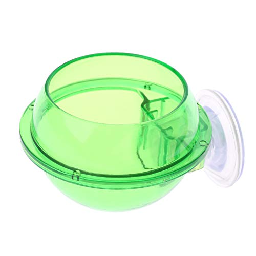 Suction Cup Reptiles Feeder Bowl Anti-Escape Food Bowl Drinker Bowl for Tortoise Iguana