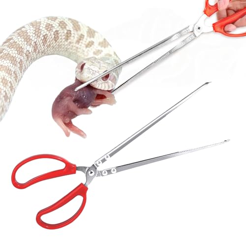 15 Inch Snake Feeding Tongs, Reptile Feeding Tongs,Snake Grabber Tool Stick Reptile Tongs for Lizard Reptiles,Snakes,Tank Accessories Terrarium Supplies (Straight Head)