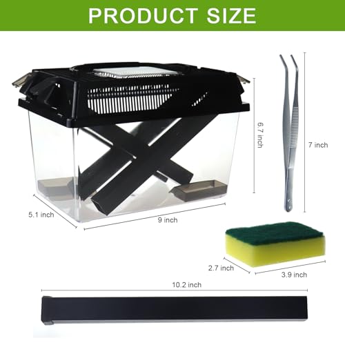 Reptile Cricket Keeper, Transparency Cricket Pen with Tubes, Insect Keeper with Water & Food Bowls for Bearded Dragon Gecko Lizards Chameleon Snake
