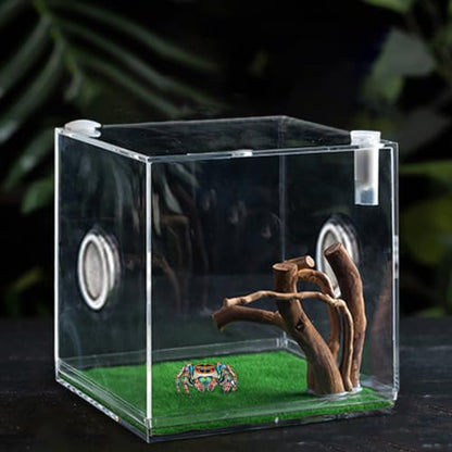 Acrylic Jumping Spider Terrarium - Reptile Growth Clear Container, Clearer View Small Pet Enclosure, Practical Convenient Spacious Habitat, Durable Housing Design Versatile Use | for Snails Lizards Be - color: Ash Green