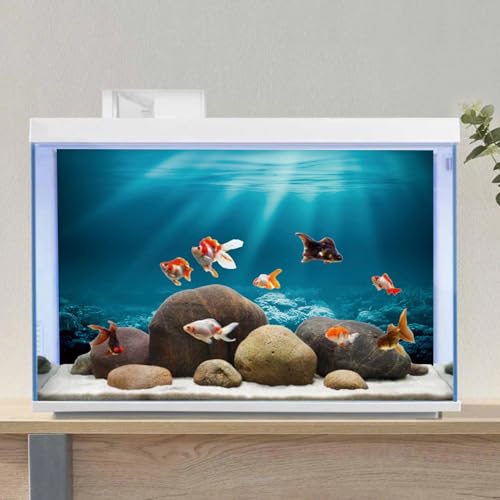AWERT 72x16 inches Undersea Theme Aquarium Background Sunshine Underwater World Fish Tank Background Durable Polyester Background - size: 72x16in/180x40cm