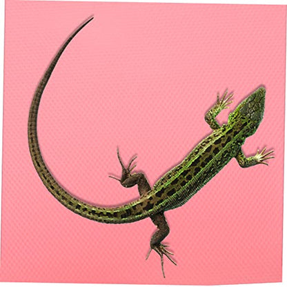 HANABASS Reptile Carpet Mat Reptile Tank Accessories Leopard Gecko Substrate Pad Eva Material Terrarium Bedding