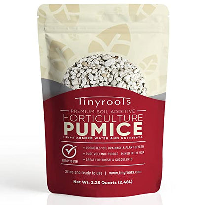 Bonsai Outlet Horticultural Pumice for Plants - Tinyroots 2.25 Quarts Soil Aggregate for Succulents, Cactus and Bonsai Plants - size: 4qt
