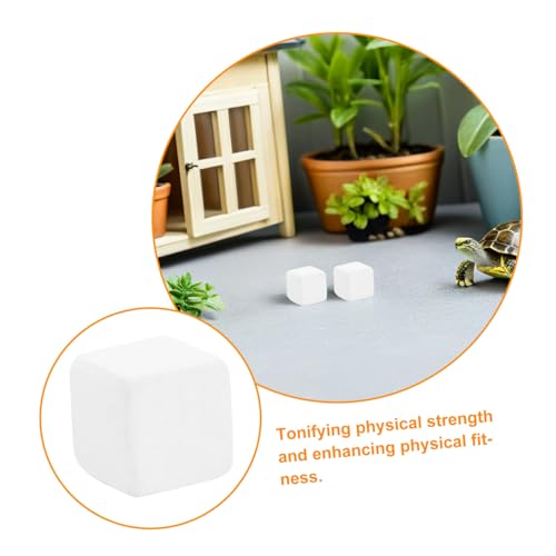 Tortoise Calcium Blocks 6pcs Calcium Cubes for Reptile Health Supplement Turtle Tank for Enhanced Strength