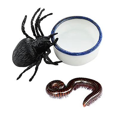 10 Pcs Spider Micro Water Bowl Mini Ceramic Dish for Tiny Reptile Spider Millipede Tarantula (Small Size: 0.86" D, 0.43" H)