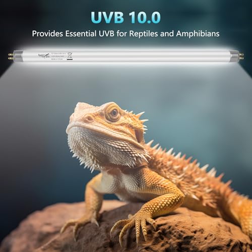 3-Pack UVB Reptile Light 10.0 Bulb 8W T5 Fluorescent Desert Lamp UVA for Bearded Dragon Tortoise Reptile & Amphibian - size: 8W-3PCS