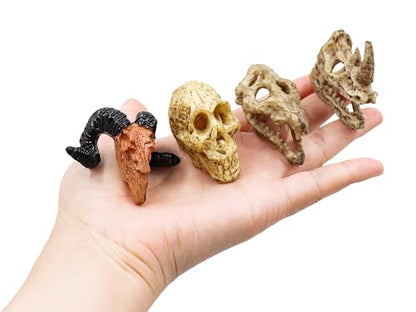 Oooct 8 Pcs Mini Animal Skull Statues - Realistic Resin Skeleton Head Decor for Reptile Habitat, Aquarium, Terrarium Tank Accessories for Bearded Dragons, Geckos, Lizards, Halloween Christmas Crafts