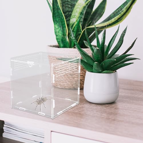 Acrylic Reptile Breeding Box with Ventilation Transparent Feeding Habitat for Spiders Geckos Snakes Pets Safe Eco-Friendly Observation Container
