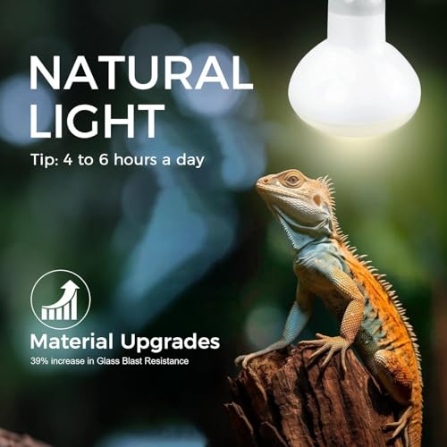 100W Reptile Heat Lamp Bulb, Day & Night Basking Spot Light Combo Pack Includes Infrared Heat Lamp and UVA Daylight Heating Lamp Basking Light for Lizards, Turtles, Chicken，Bearded Dragons - style: Day & Night Heat Lamp 100W